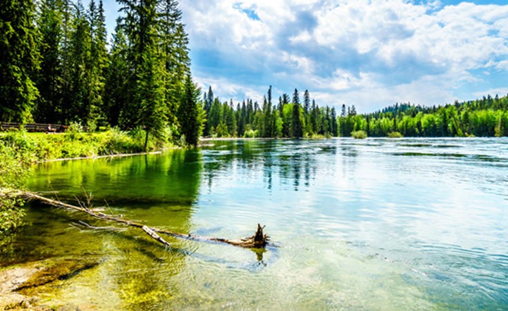 Meditation in der Natur