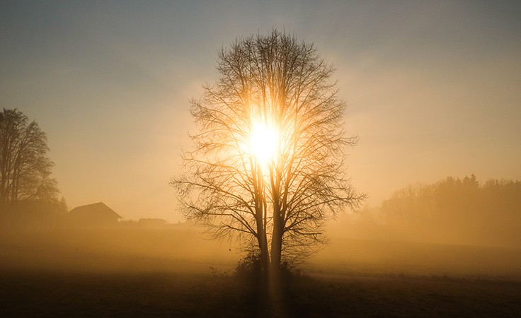 Die Vision von Achtsamkeit