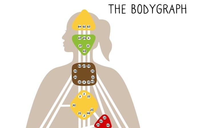 Beispiel fuer Koerpergrafik im Human Design